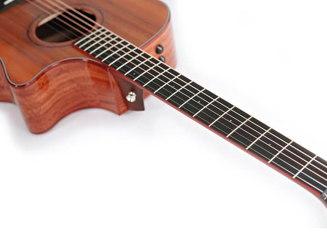 Taylor Custom Grand Auditorium Red Ironbark / Sinker Redwood Taylor Custom Grand Auditorium Red Ironbark / Sinker Redwood