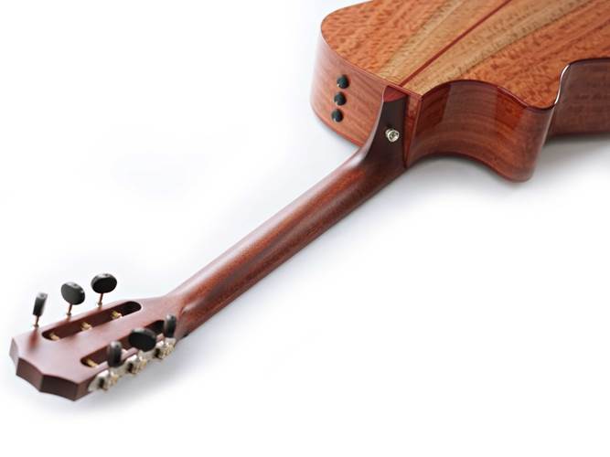 Taylor Custom Grand Auditorium Red Ironbark / Sinker Redwood Taylor Custom Grand Auditorium Red Ironbark / Sinker Redwood