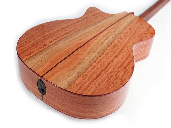 Taylor Custom Grand Auditorium Red Ironbark / Sinker Redwood Taylor Custom Grand Auditorium Red Ironbark / Sinker Redwood
