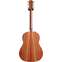 Taylor Grand Pacific Adirondack Spruce / Red Ironbark Back View