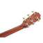 Taylor Grand Pacific Adirondack Spruce / Red Ironbark Front View