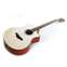 Taylor Grand Symphony Adirondack Spruce / Red Ironbark Front View