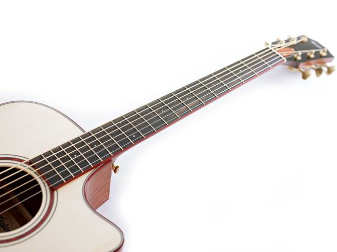 Taylor Custom Grand Symphony Adirondack Spruce / Red Ironbark Baritone Taylor Custom Grand Symphony Adirondack Spruce / Red Ironbark Baritone