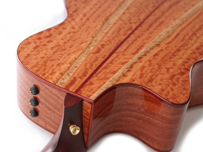 Taylor Custom Grand Symphony Adirondack Spruce / Red Ironbark Baritone Taylor Custom Grand Symphony Adirondack Spruce / Red Ironbark Baritone