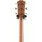 Taylor Custom Grand Auditorium Cedar / Walnut (Ex-Demo) #1206083122