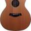 Taylor Custom Grand Auditorium Cedar / Walnut (Ex-Demo) #1206083122