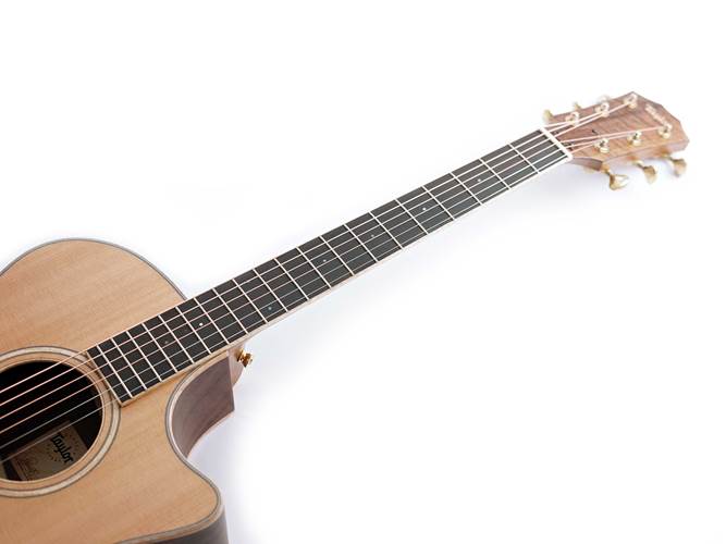 Taylor Custom Grand Auditorium Cedar / Walnut Taylor Custom Grand Auditorium Cedar / Walnut