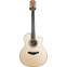 Taylor Grand Symphony 9 String Lutz Spruce / AA Koa Front View