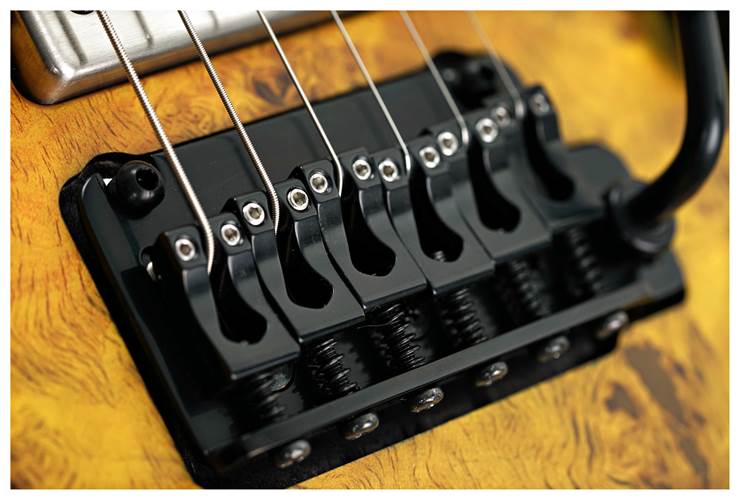 Mayones Regius 6, Eye Poplar 4A, Custom Nuclear Burst Satin, Black Hardware #RP2409344 Mayones Regius 6, Eye Poplar 4A, Custom Nuclear Burst Satin, Black Hardware #RP2409344