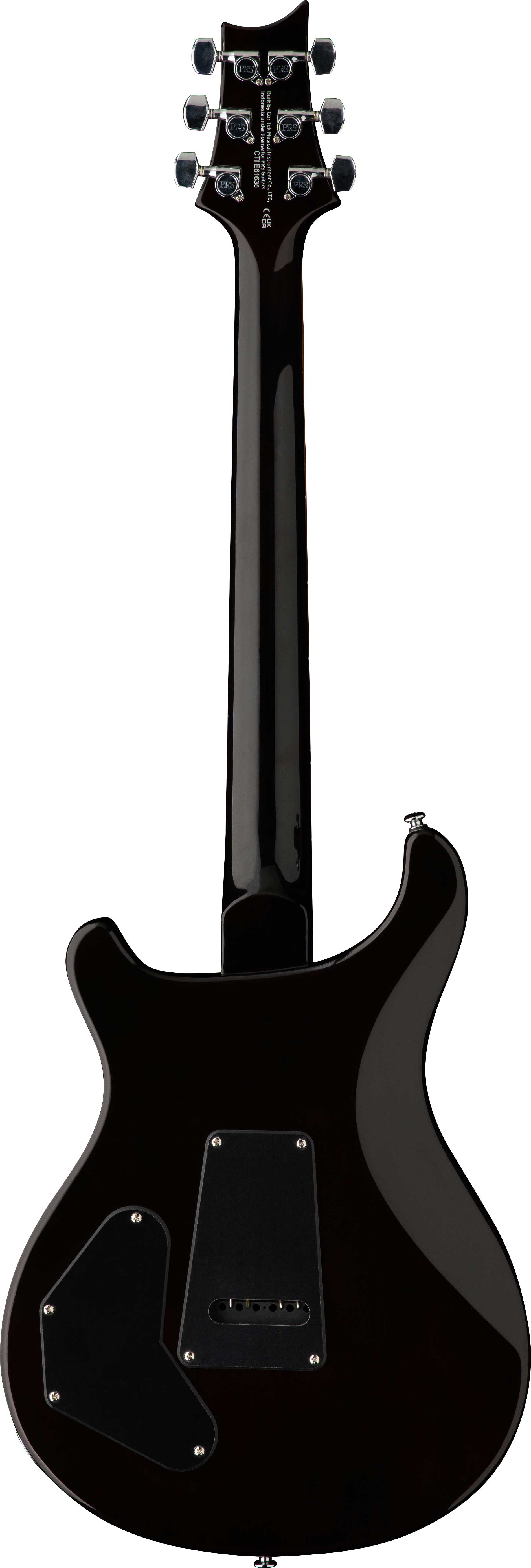 PRS SE DGT Moons Gold Top