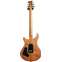 PRS Wood Library Custom 24-08 Yellow Tiger 10 Top #0377719 Back View