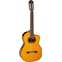 Takamine GC6CE Electro Classical Cutaway Natural Front View