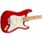 Fender Player Stratocaster Candy Apple Red Maple Fingerboard Front View