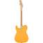 Squier Sonic Telecaster Butterscotch Blonde Maple Fingerboard Back View