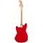 Squier Sonic Mustang Torino Red Maple Fingerboard Back View