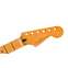 Fender Neck Player Plus Stratocaster Maple Fingerboard Front View