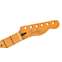 Fender Neck Player Plus Telecaster Maple Fingerboard Front View