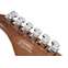 Cort G300 Pro Metallic Gold Front View