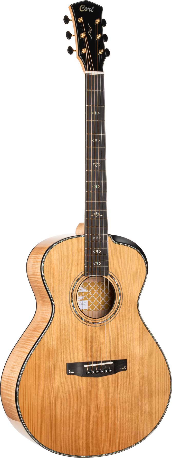 Gold deals acoustic guitar