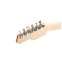 Tyler Burning Water Swamp Ash Rosewood Fingerboard Front View