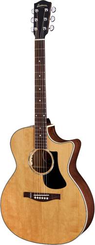 Eastman PCH2-GACE Eastman PCH2-GACE