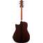 Furch Yellow Dc-SR Sitka Spruce/Indian Rosewood With LR Baggs SPE Back View