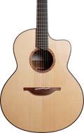 Lowden F-50C Adirondack Spruce/Tasmanian Blackwood #26565