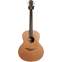 Lowden F-22 Red Cedar/Mahogany #27341 Front View