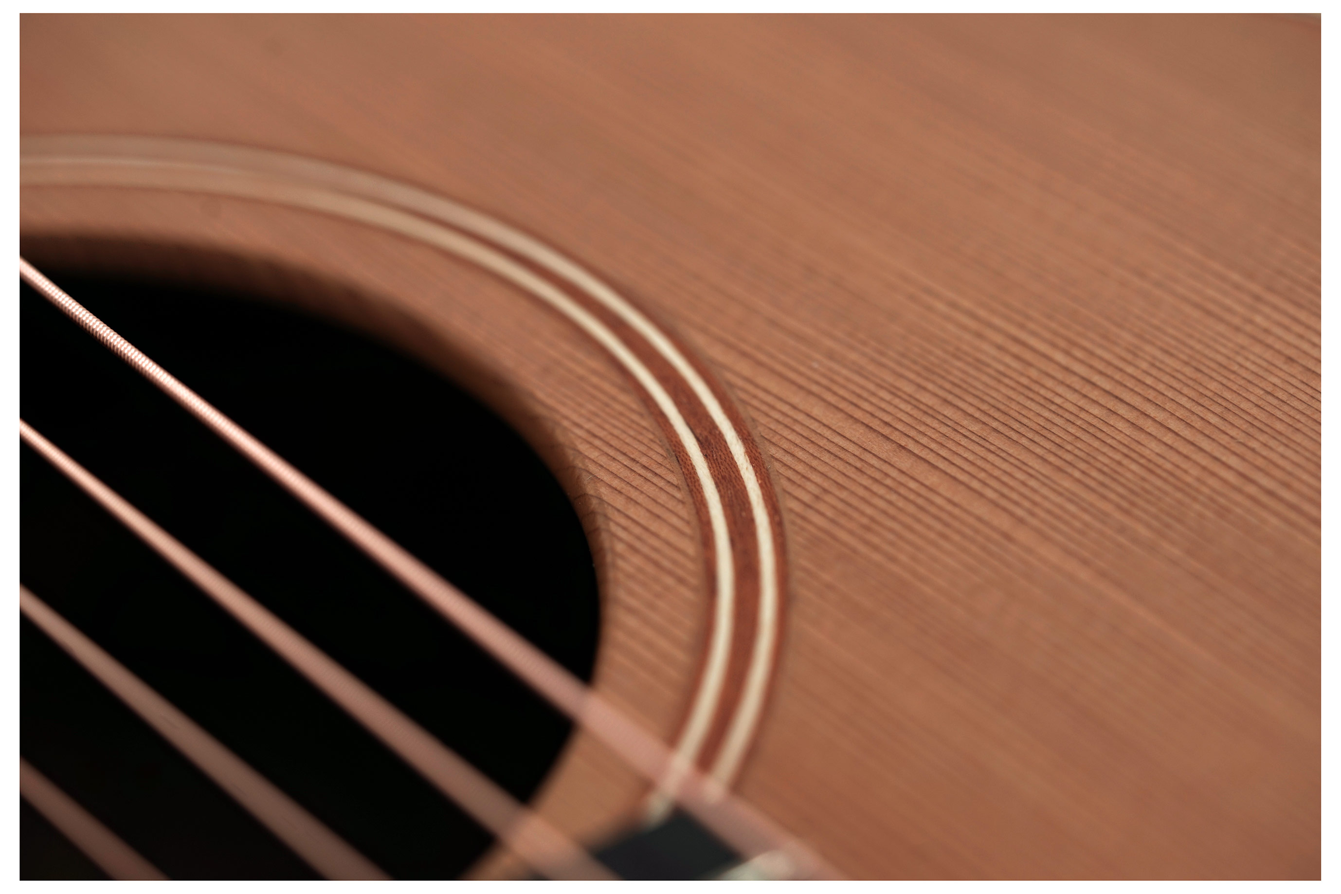 Lowden F-23 Red Cedar / Walnut #28915