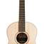 Lowden F-32 Sitka Spruce/Indian Rosewood #26511 