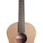 Lowden S-22 Red Cedar / Mahogany