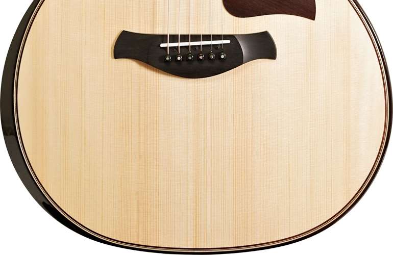 Taylor Builder's Edition 814ce Grand Auditorium Taylor Builder's Edition 814ce Grand Auditorium