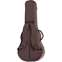 Taylor AeroCase Grand Theater Choc Brown   Back View