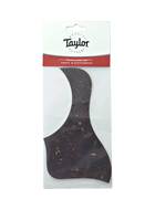 Taylor Pickguard Right Handed DN/JM 5 Inch Tortoiseshell