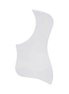 Taylor Pickguard Static Universal