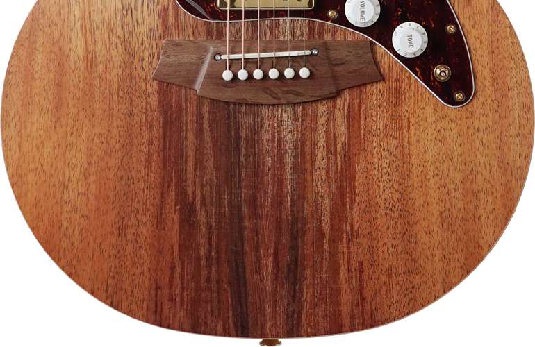 Cole Clark True Hybrid HSS Thinline All Blackwood (Nearly New) #240315886 Cole Clark True Hybrid HSS Thinline All Blackwood (Nearly New) #240315886