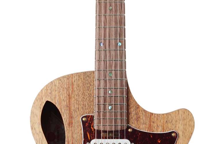 Cole Clark True Hybrid HSS Thinline All Blackwood (Nearly New) #240315886 Cole Clark True Hybrid HSS Thinline All Blackwood (Nearly New) #240315886