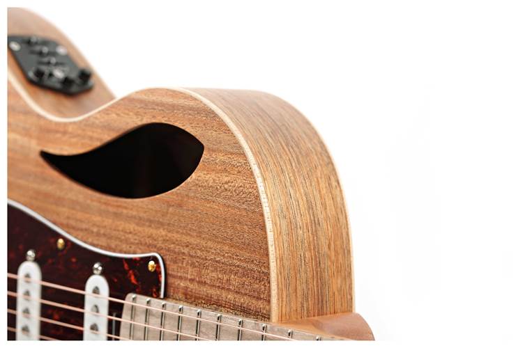 Cole Clark True Hybrid HSS Thinline All Blackwood Cole Clark True Hybrid HSS Thinline All Blackwood