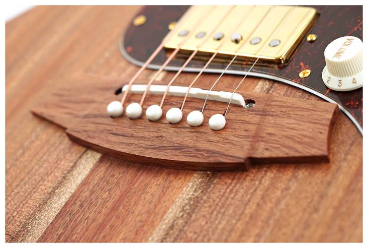 Cole Clark True Hybrid HSS Thinline All Blackwood Cole Clark True Hybrid HSS Thinline All Blackwood