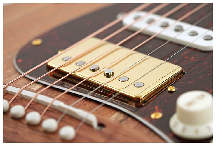 Cole Clark True Hybrid HSS Thinline All Blackwood Cole Clark True Hybrid HSS Thinline All Blackwood