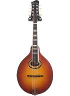 Eastman MD604-GB Goldburst