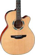 Takamine LTD2023 Santa Fe