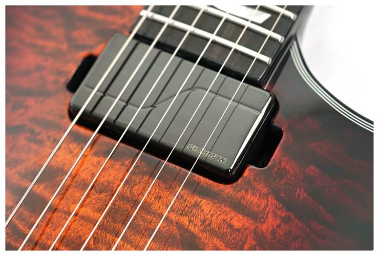 ESP E-II Eclipse Tiger Eye Sunburst Quilted Maple Top #ES4173243 ESP E-II Eclipse Tiger Eye Sunburst Quilted Maple Top #ES4173243