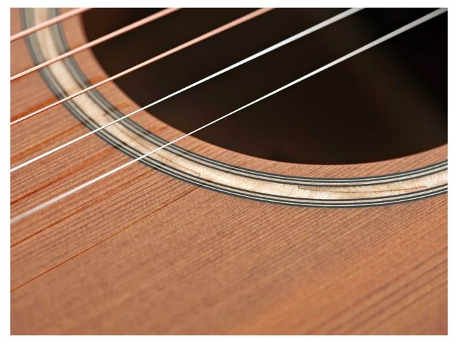 Taylor Custom Grand Concert Sassafras / Redwood Taylor Custom Grand Concert Sassafras / Redwood