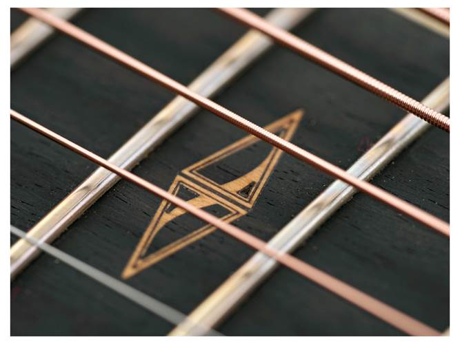 Taylor Custom Grand Concert Sassafras / Redwood Taylor Custom Grand Concert Sassafras / Redwood