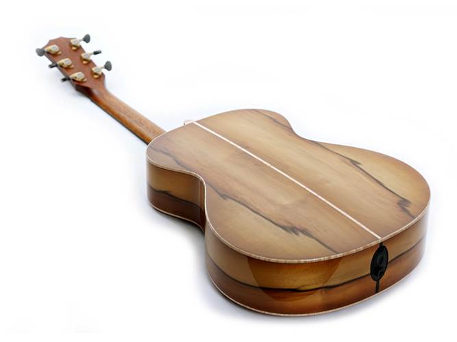 Taylor Custom Grand Concert Sassafras / Redwood Taylor Custom Grand Concert Sassafras / Redwood