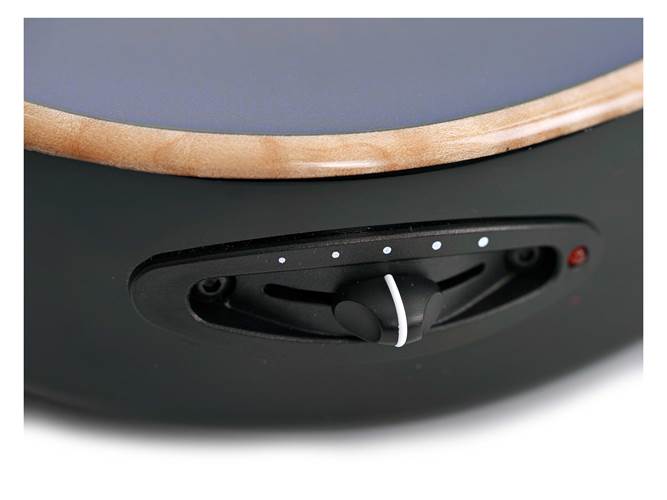 Taylor T5z Urban Ash / Flame Maple Taylor T5z Urban Ash / Flame Maple