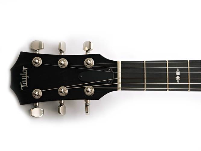 Taylor T5z Urban Ash / Flame Maple Taylor T5z Urban Ash / Flame Maple