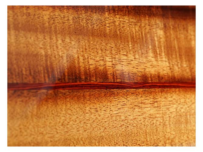 Taylor Custom Grand Concert 12 Fret Koa #37 Taylor Custom Grand Concert 12 Fret Koa #37