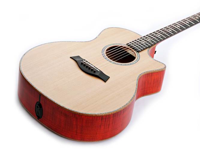 Taylor Custom Grand Auditorium Western Red Cedar / Maple Taylor Custom Grand Auditorium Western Red Cedar / Maple